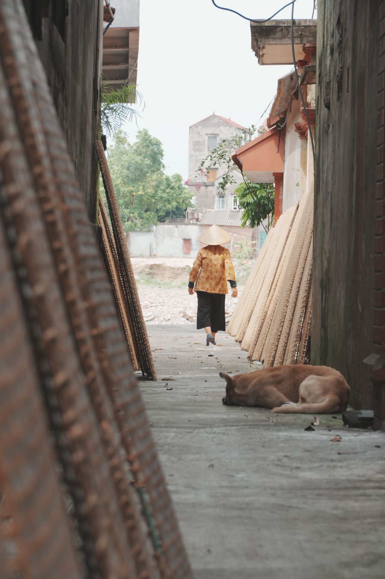 DSC02645.jpg - Professional Photography by Nguyen Tien Linh