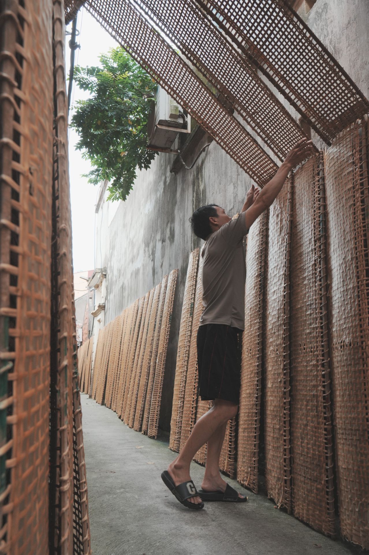 DSC02458 (2).jpg - Professional Photography by Nguyen Tien Linh