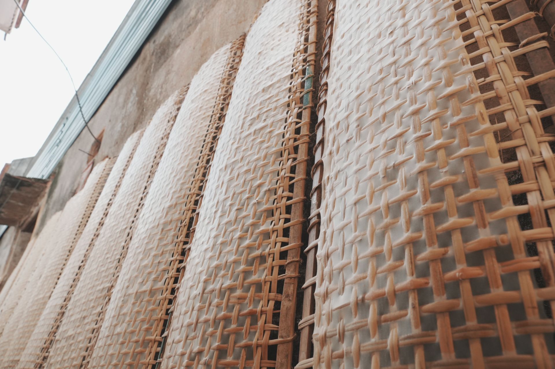 DSC02497.jpg - Professional Photography by Nguyen Tien Linh