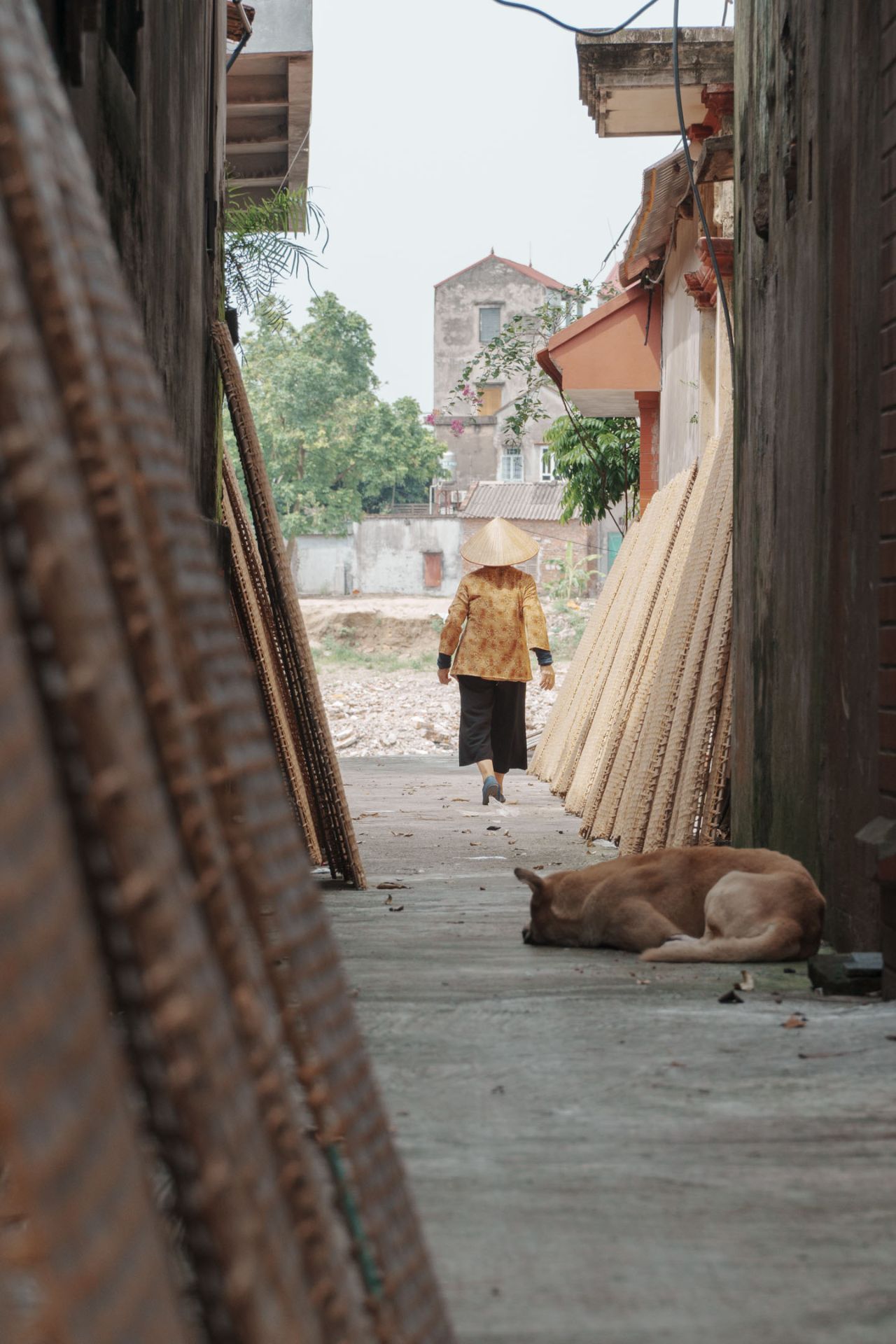 227.jpg - Professional Photography by Nguyen Tien Linh