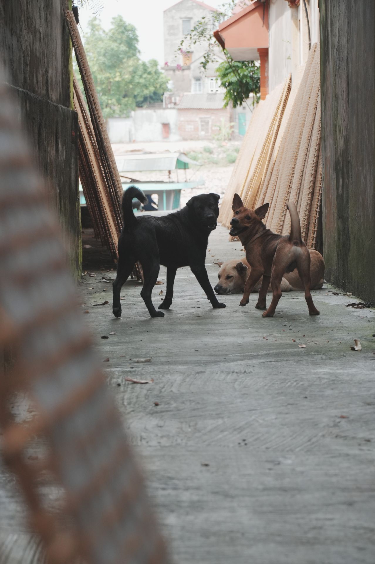 DSC02476.jpg - Professional Photography by Nguyen Tien Linh