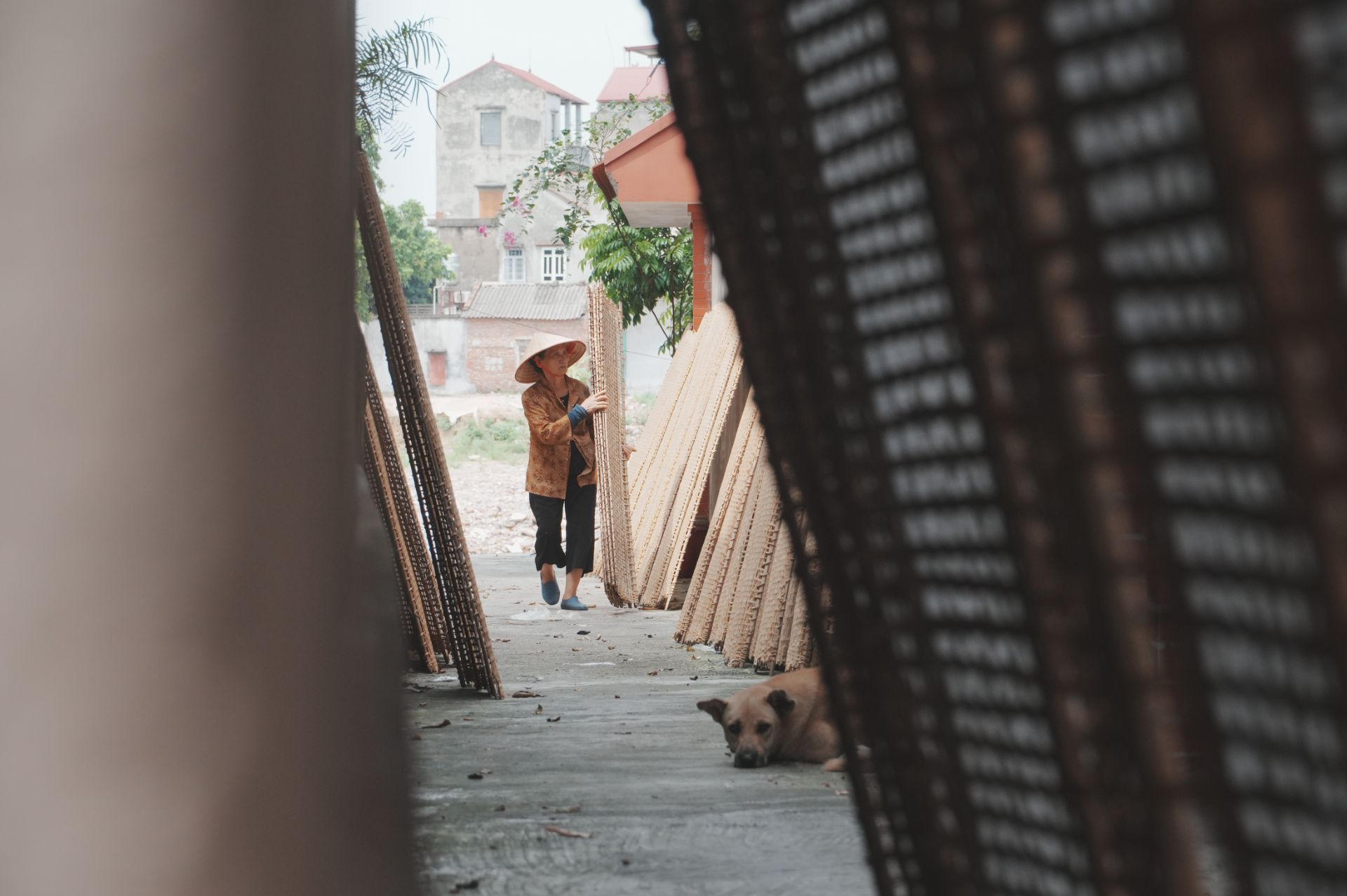 DSC02642.jpg - Professional Photography by Nguyen Tien Linh