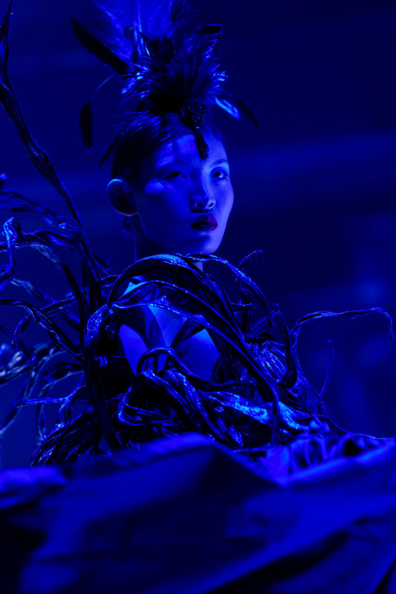 LTN_AVIFW-10.jpg - Professional Photography by Nguyen Tien Linh