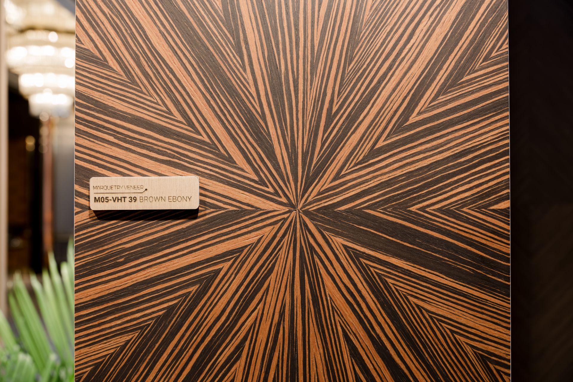 _DAU1359.jpg - Professional Photography by Nguyen Tien Linh