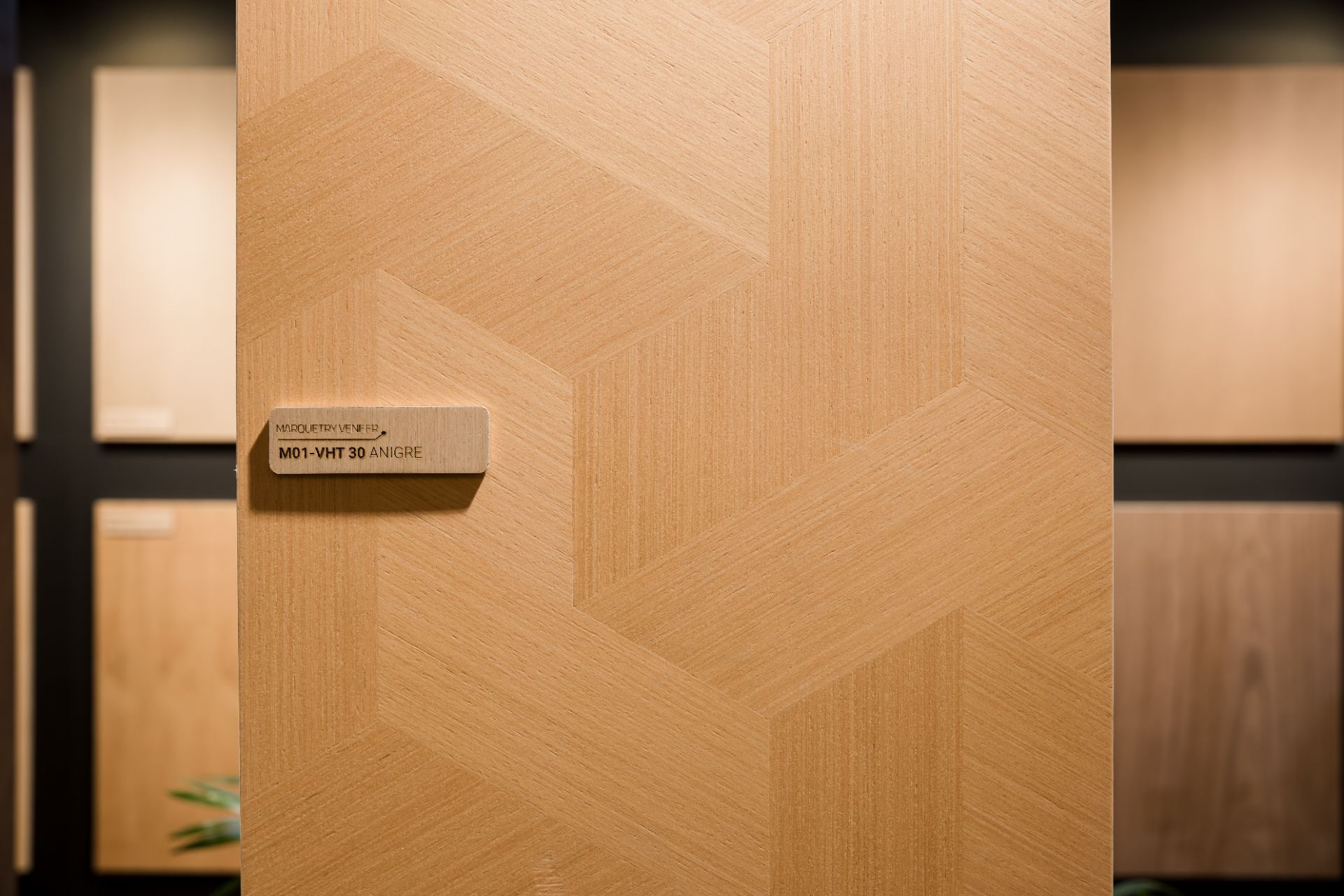 _DAU1350.jpg - Professional Photography by Nguyen Tien Linh