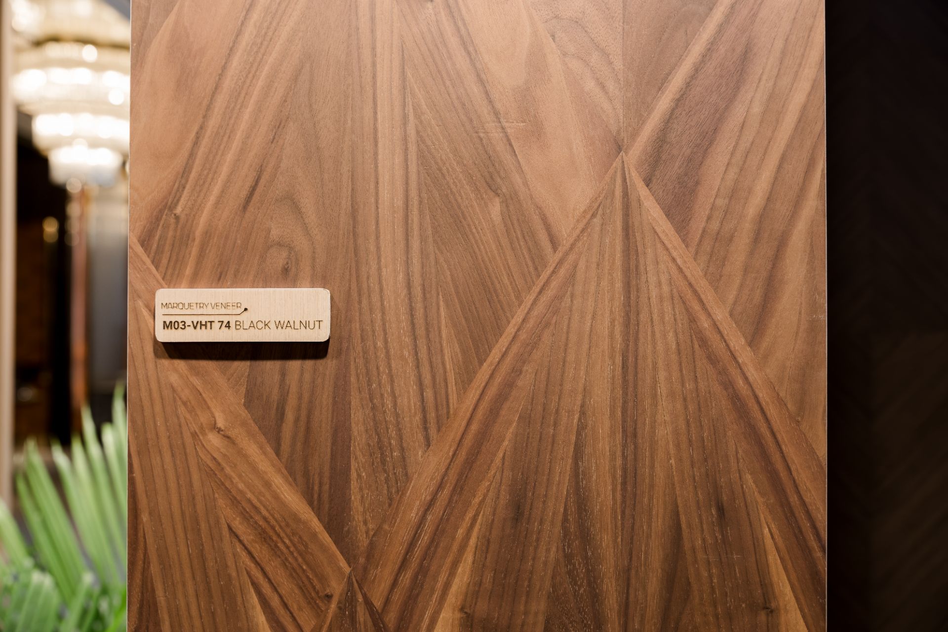 _DAU1357.jpg - Professional Photography by Nguyen Tien Linh