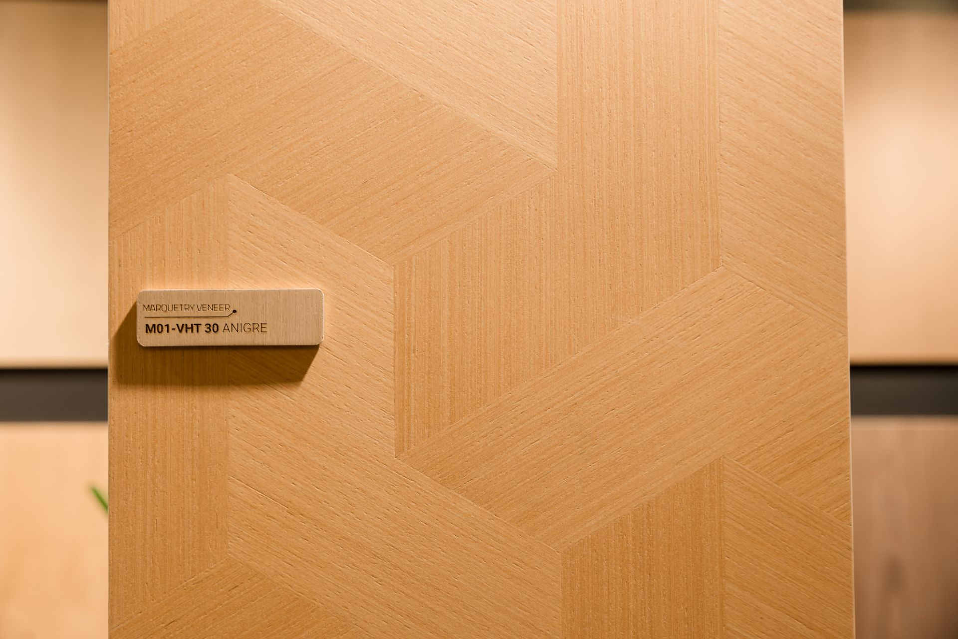 _DAU1291.jpg - Professional Photography by Nguyen Tien Linh