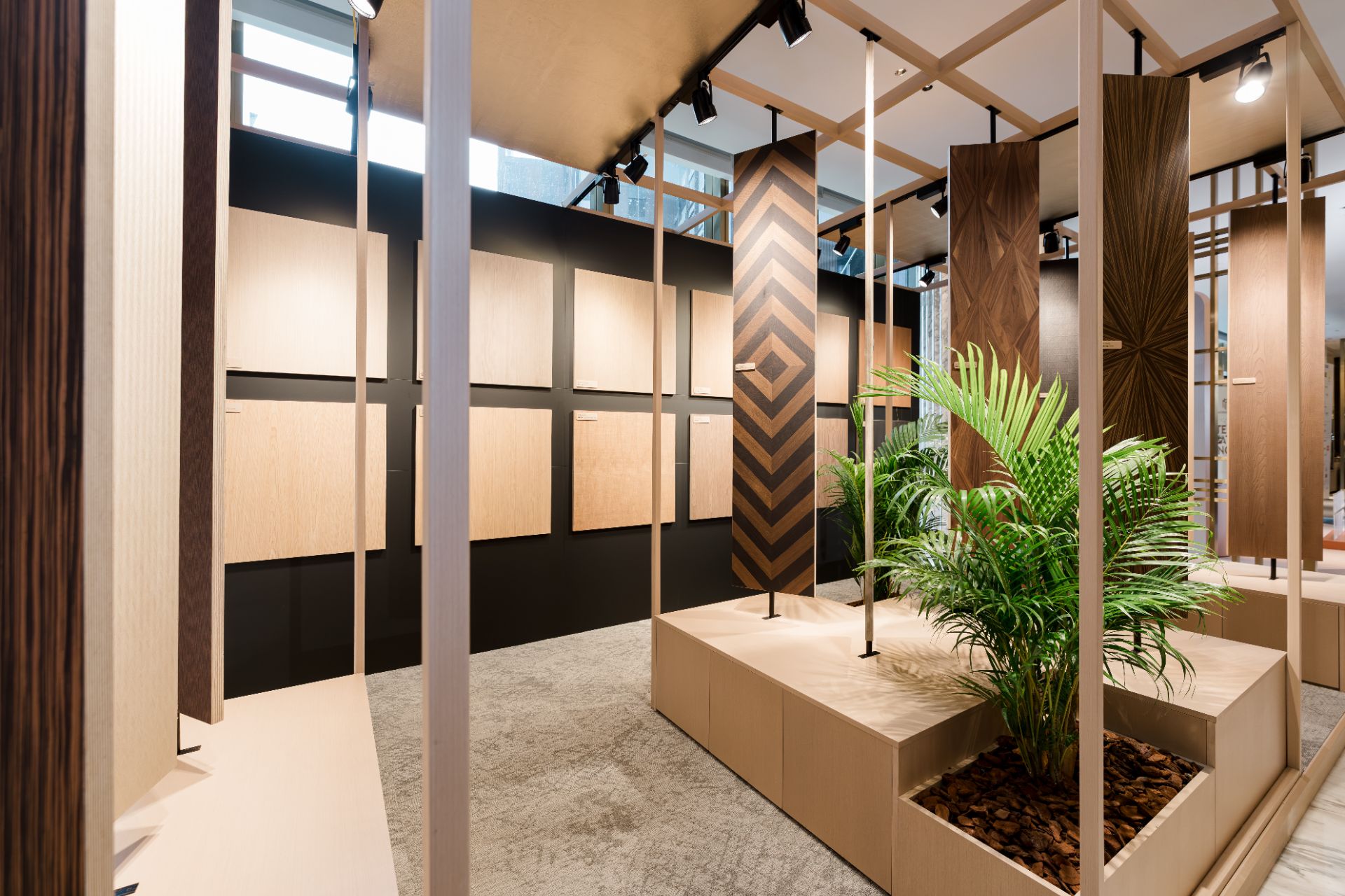 _DAU1766.jpg - Professional Photography by Nguyen Tien Linh