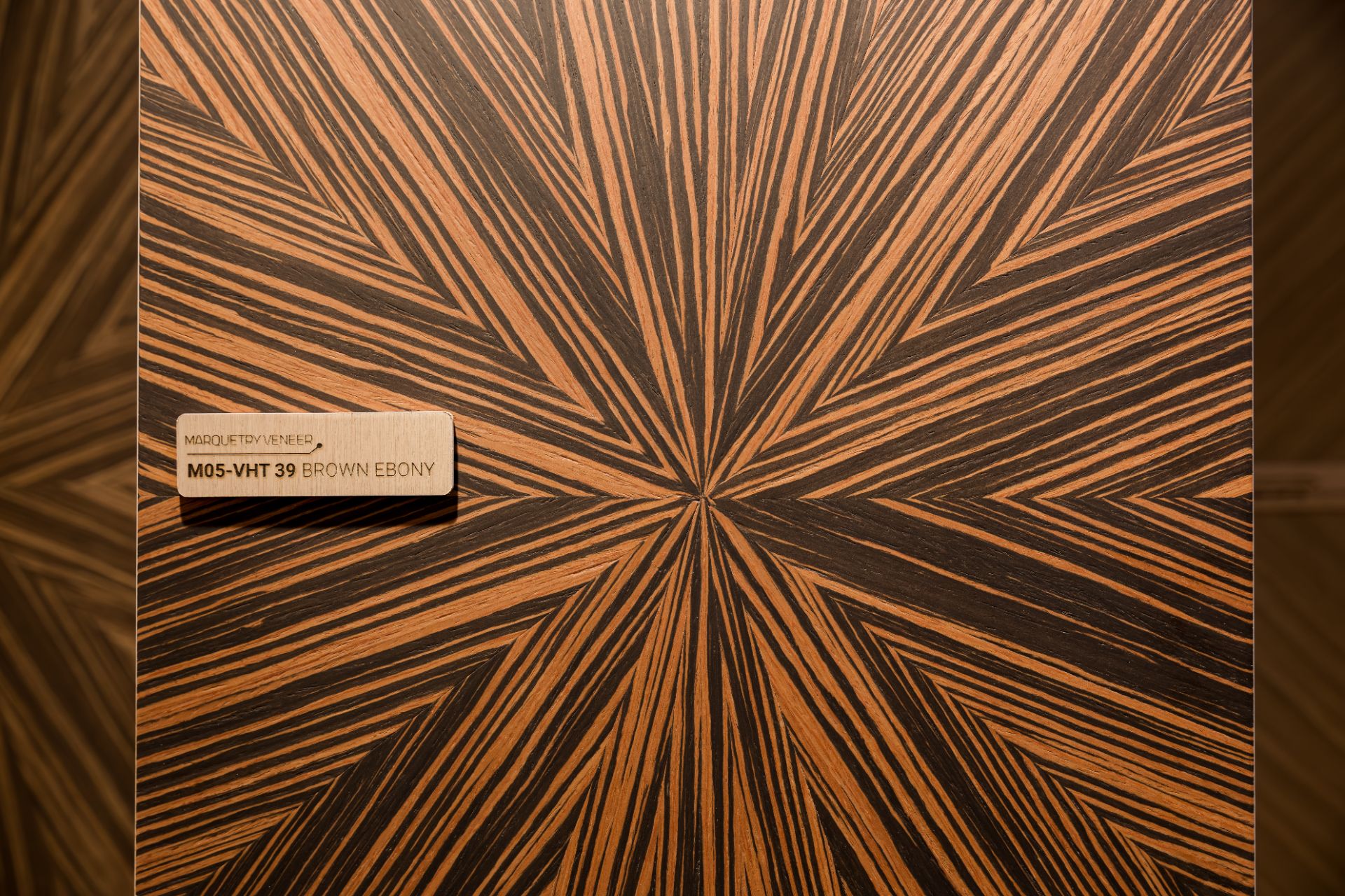 _DAU1302.jpg - Professional Photography by Nguyen Tien Linh