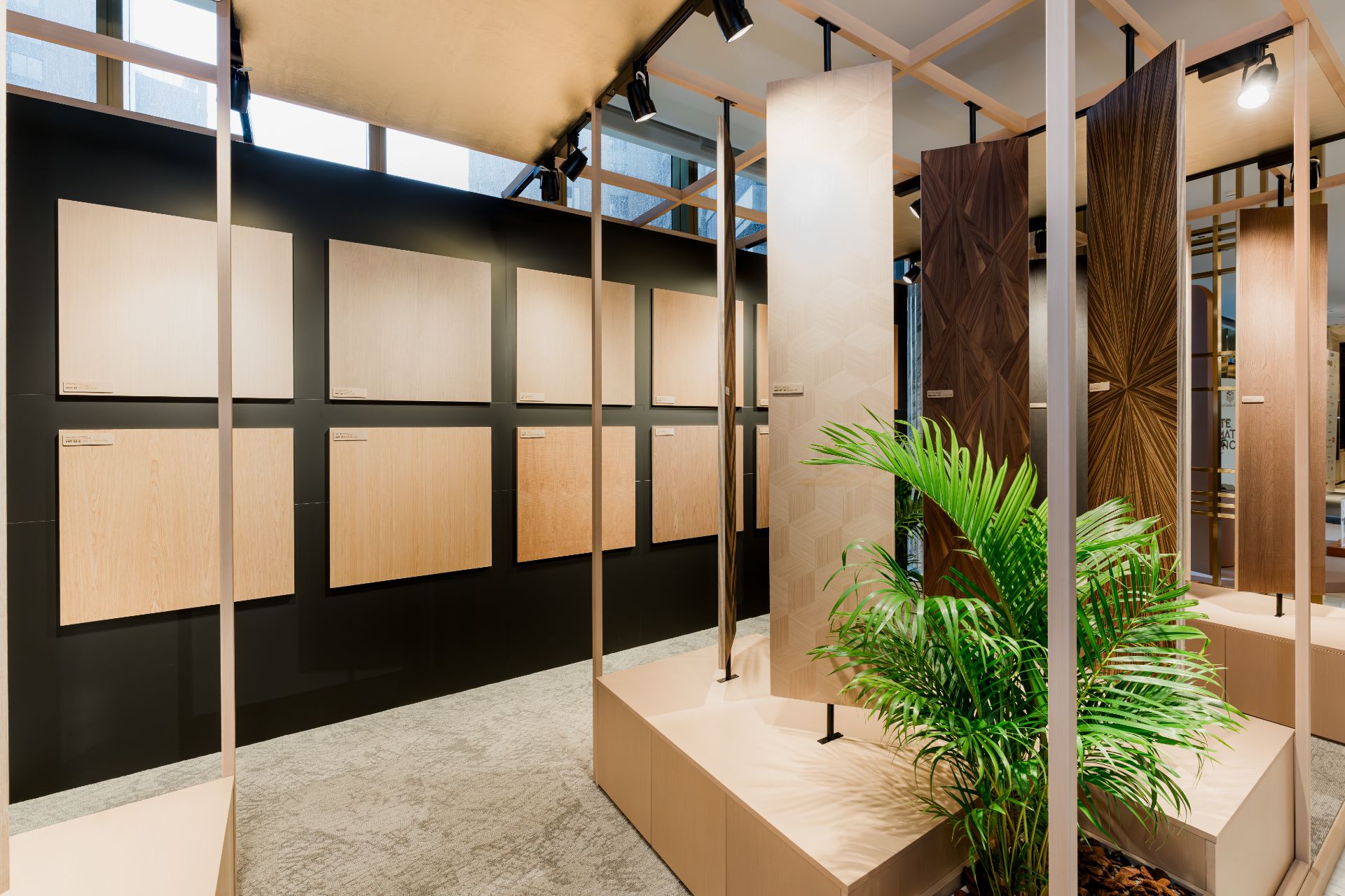 _DAU1209.jpg - Professional Photography by Nguyen Tien Linh