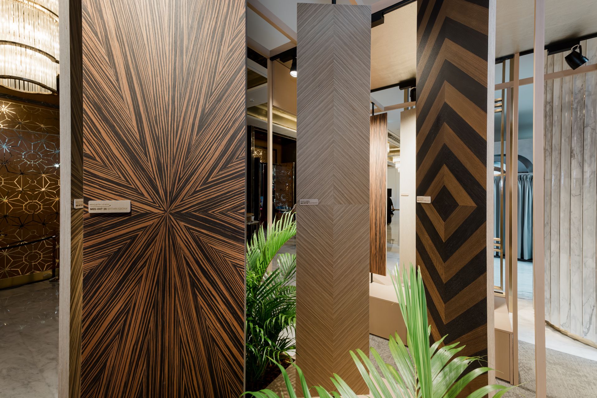 _DAU1255.jpg - Professional Photography by Nguyen Tien Linh