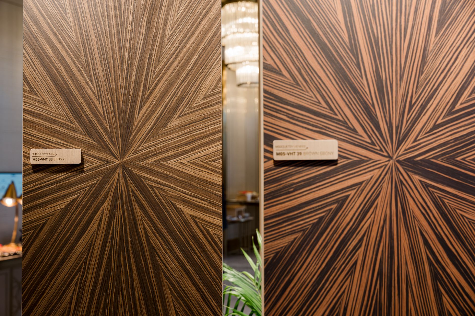 _DAU1361.jpg - Professional Photography by Nguyen Tien Linh